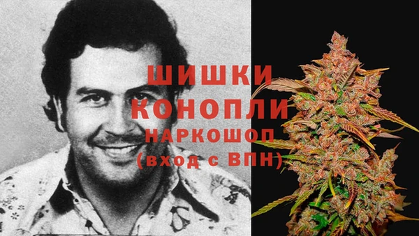 гашик Заволжье
