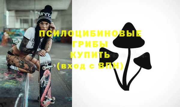 гашик Заволжье