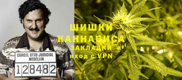 гашик Заволжье
