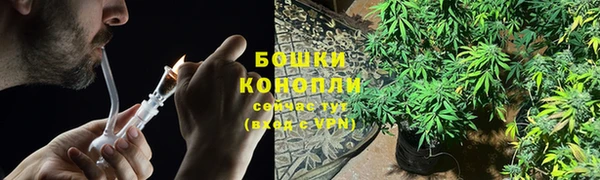 гашик Заволжье