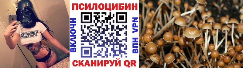 Купить где  Ефремов  Галлюциногенные грибы мухоморы 